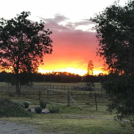Lovedale Red Gum Cottage Luaran gambar