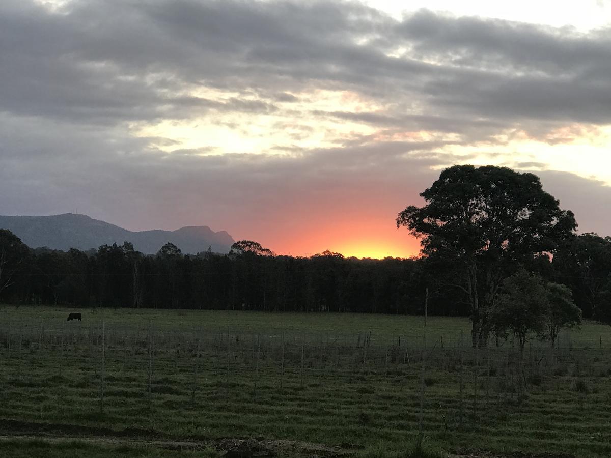 Lovedale Red Gum Cottage Luaran gambar